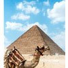 Cairo Egypt Booking | Almatar.com
