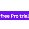 Pro Free Trial | Canva.com
