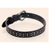 Sparky Collar : Bwildecollection
