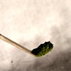 Bamboo Matcha Spoon - Drinkgomatcha.com