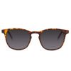 Barner Dalston Tortoise - Adasat UAE