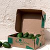 Box | Primaveraavocados