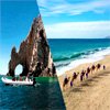 Camels + Arch + Lunch Tour : Cabo-adventures.com