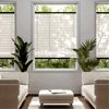 Classic Pleated Blinds | No-squitos.de