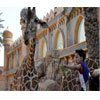 Emirates Park Zoo Booking : Next Holidays UAE