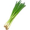 Green Onion : Unioncoop UAE