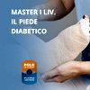 Master In Diabetic Foot Course | Master-formazione