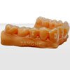 Ortho Model Resin For 3d Printer : Jamghe UAE