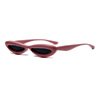 Oversized Cat-Eye Acetate Sunglasses - Abdosy