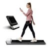 P1 Folding Treadmill | De.walkingpad