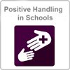 Positive Handling Certified Course - Learning247