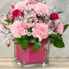 Pretty Light Pink Carantion In Vase - Urban Blooms