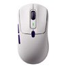 Pulse 01 Gaming Mouse | Akkogear