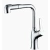 Single-Hole Rotatable & Pull-Out Faucet : Leftonhome.com