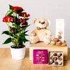 Sweet Medley Gourmet Gift Basket : Floraqueen