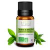 Tea Tree Essential Oil - Aromatiza