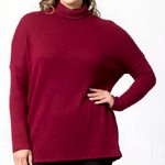 Turtleneck Tunic Sweater | Kiyonna