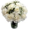 White Carnations - Clareflorist.co.uk