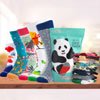 Women's Gift Sets : Sockpanda UAE