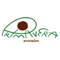 Primavera Avocados