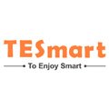 TESmart